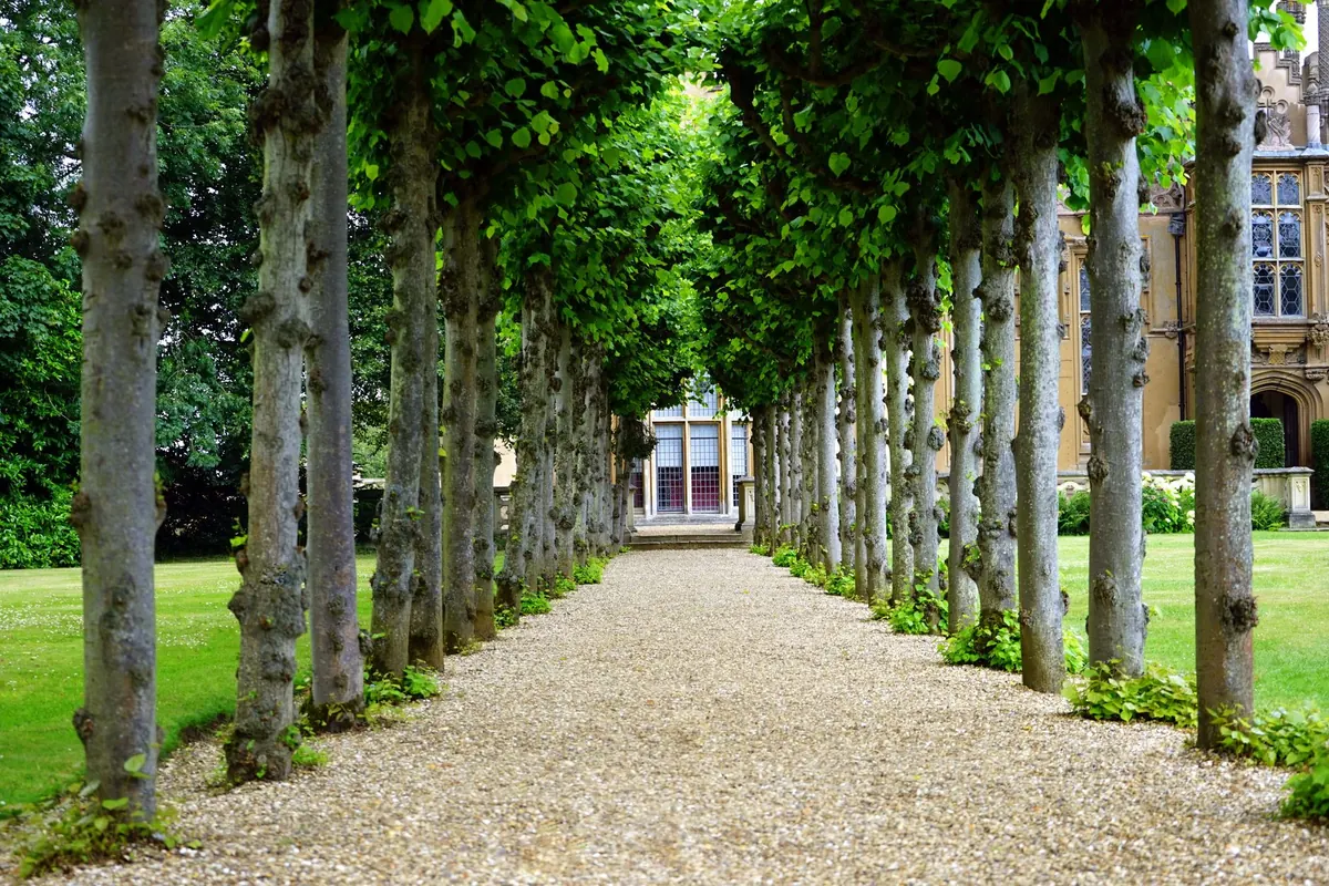Common Mistakes When Touring Formal Manor Gardens